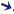 Wind from WNW